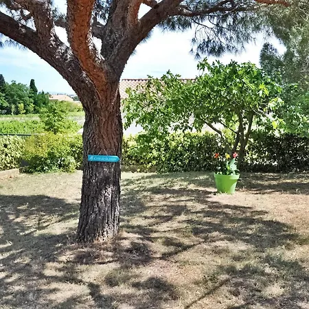 La Des Pins Rochefort-du-Gard